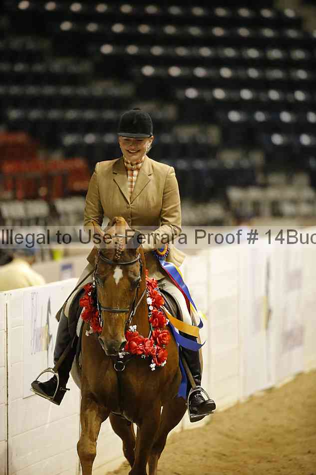 Proof 14buck_5317