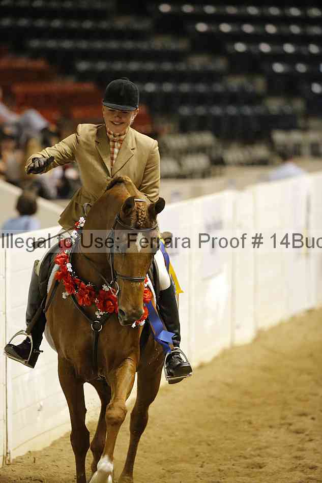 Proof 14buck_5318