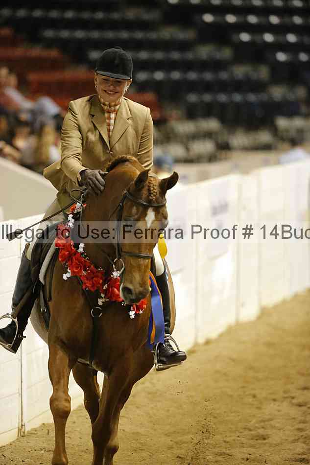 Proof 14buck_5319