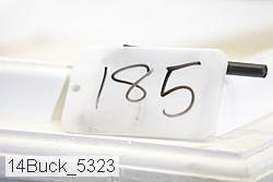 14buck_5323 proof