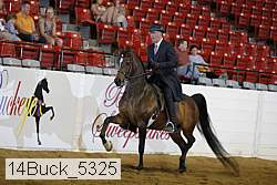 14buck_5325 proof