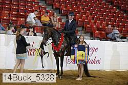 14buck_5328 proof