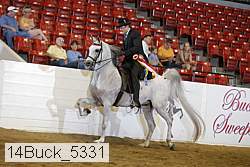 14buck_5331 proof
