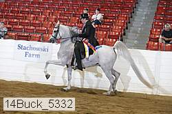 14buck_5332 proof