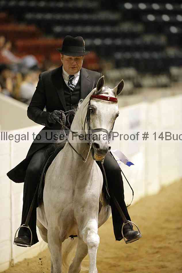 Proof 14buck_5333