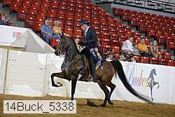 14buck_5338 proof