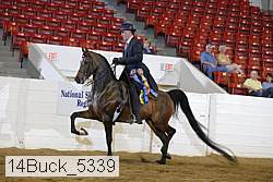 14buck_5339 proof