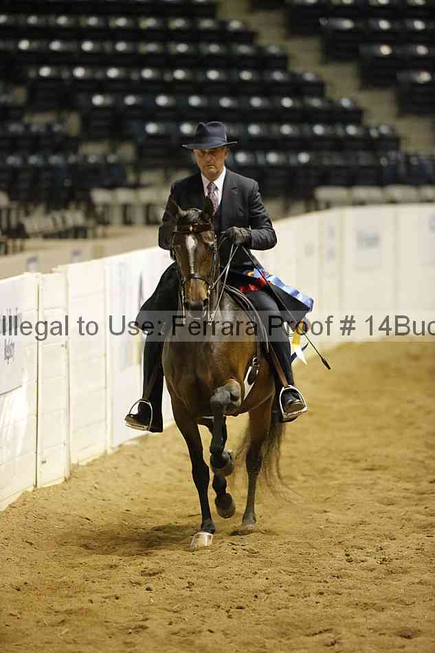Proof 14buck_5341