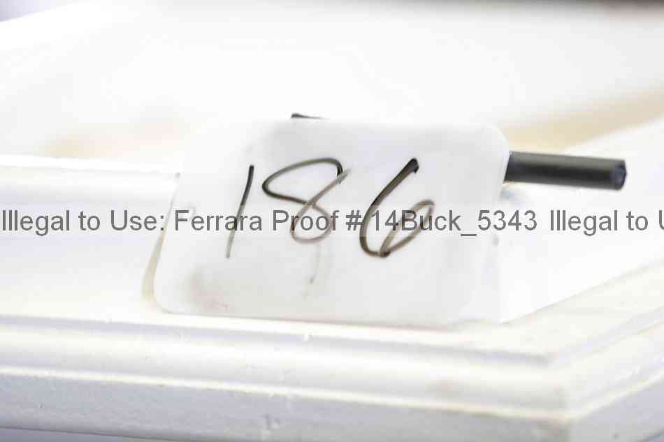 Proof 14buck_5343