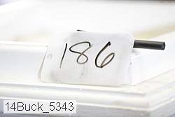 14buck_5343 proof