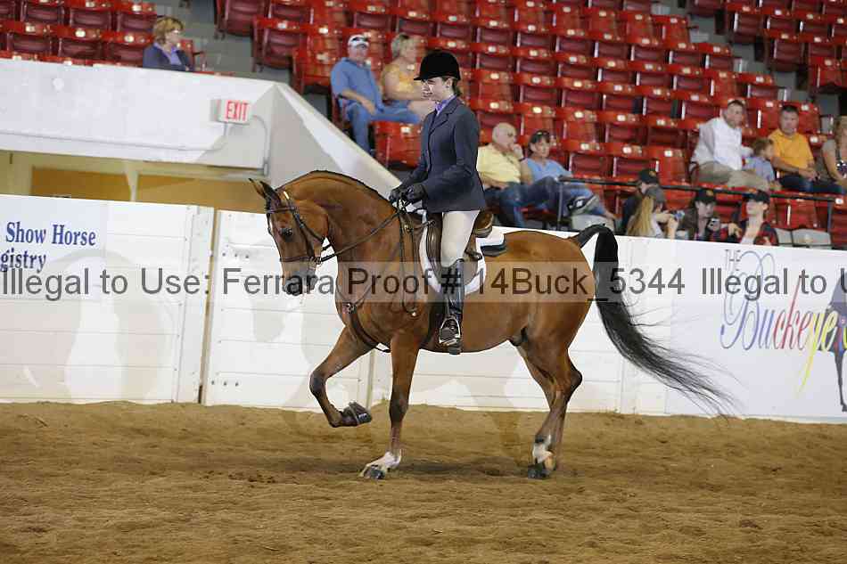Proof 14buck_5344