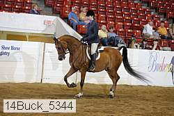 14buck_5344 proof