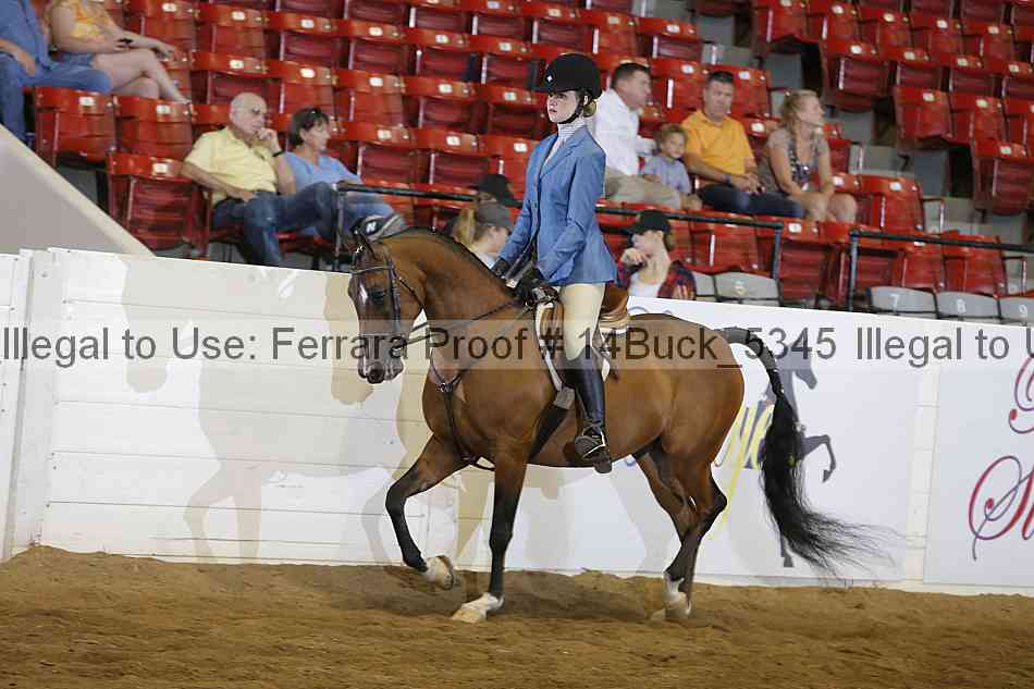 Proof 14buck_5345