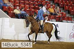 14buck_5345 proof