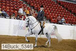 14buck_5346 proof