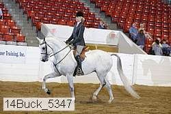 14buck_5347 proof