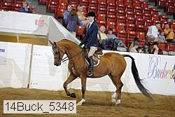 14buck_5348 proof