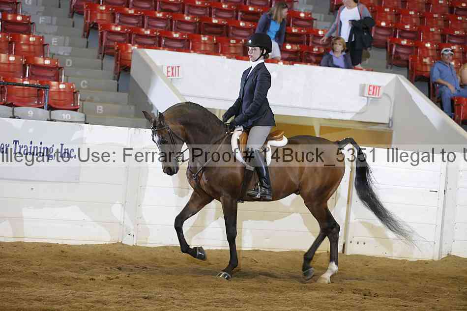Proof 14buck_5351
