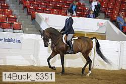14buck_5351 proof