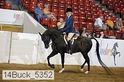 14buck_5352 proof