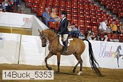 14buck_5353 proof