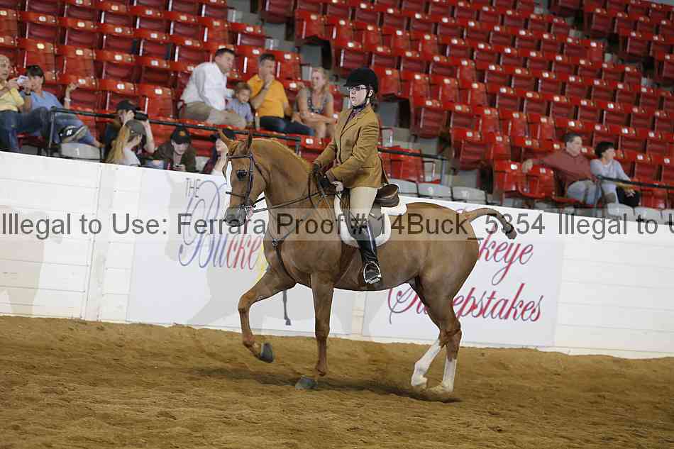 Proof 14buck_5354