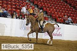 14buck_5354 proof