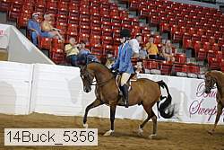 14buck_5356 proof
