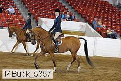 14buck_5357 proof