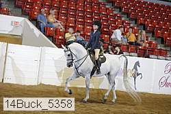 14buck_5358 proof