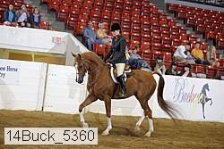 14buck_5360 proof