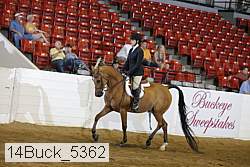 14buck_5362 proof