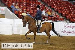 14buck_5365 proof