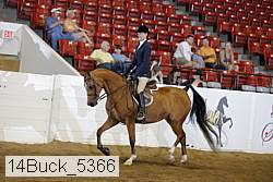 14buck_5366 proof