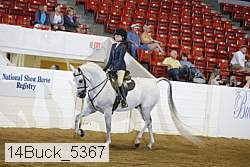 14buck_5367 proof