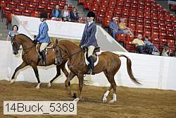 14buck_5369 proof
