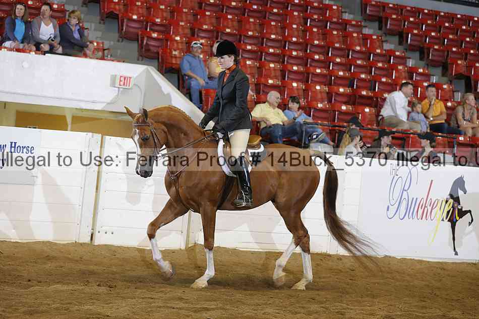 Proof 14buck_5370