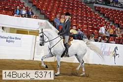 14buck_5371 proof