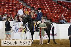 14buck_5372 proof