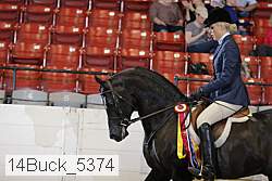 14buck_5374 proof