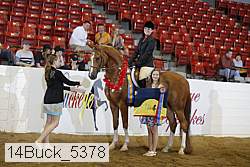 14buck_5378 proof