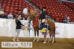 14buck_5379 proof