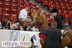 14buck_5380 proof