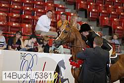 14buck_5381 proof