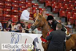 14buck_5382 proof