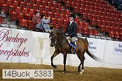 14buck_5383 proof