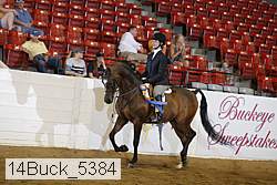 14buck_5384 proof