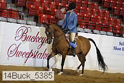 14buck_5385 proof