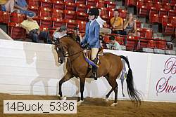 14buck_5386 proof