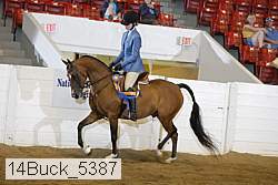 14buck_5387 proof